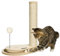 PawHut Kratzstamm für Katzen, 40 cm, Kletterbaum mit Holzkugel-Katzenspielzeug, Drehscheibe Katze Kratzbaum, Katzensäule, Spielbaum, Natur