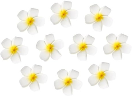 Beavorty Lot De 25 Pinces à Cheveux En Forme De Fleur De Frangipanier, Accessoires De Cheveux Pour Femmes, IdéAl Pour Mariages, FêTes, Photographie Et DéCoration, Clip Noir Inclus (7cm)