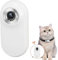 XUMIUZIY 1080P Cat Camera Collar, Anti Shake Small Pet Sport Camera with Back Clip, Loop Recording Body Worn Action Camera for Pet Supplies Outdoor Cycling (White)