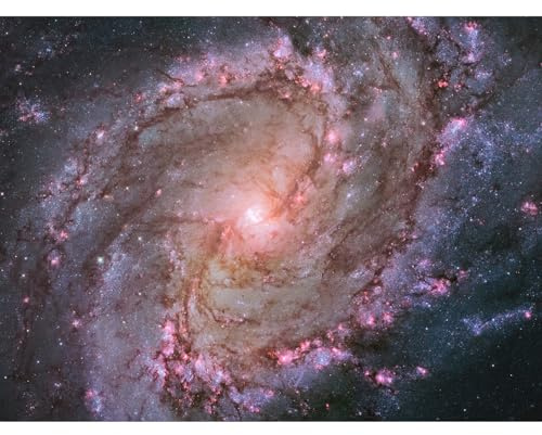 Artery8 Hubble Space Telescope Image Spiral Galaxy M83 Red Blue Purple Star Formation Southern Pinwheel Supernova Remnants and Star Clusters Unframed Art Print Poster Wall Decor 12x16 inch