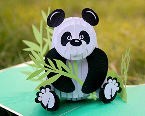 CUTPOPUP Panda Karte Pop Up, Geburtstagskarte, Pop-Up-Karte für Kinder, Sohn, Neffe, Kinder, Jugendliche DE