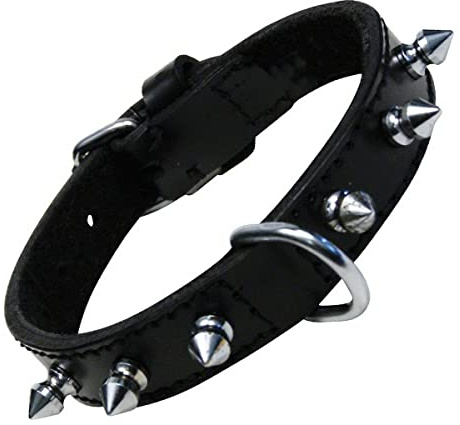 GLORIA 8432288020265 Halshaut 1 Reihe von Spikes, Negro, 250 g