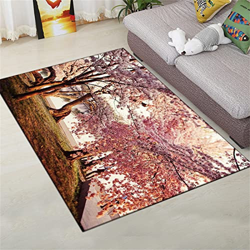 RUGMRZ Barato Decoración De Patrón De Pintura De Paisaje Alfombra Gato Rosa comedores Modernos Baratos Alfombra Cocina Antideslizante alfombras pasilleras Tela terciopelo50x80CM