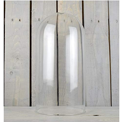 EMH Large Glass Dome Display Cloche Terrarium Moss 40 cm with Hole