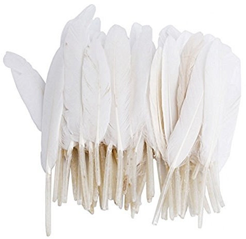 HugeStore 100 Stück Echte Naturfedern Gänsefedern Gans Federn DIY Schmuck Zubehör Basteln Weiß