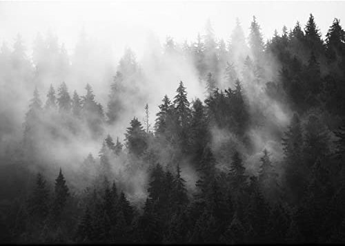 Runa Art Papel tapiz fotográfico 396 x 280 cm bosque de niebla | Lana Decoración De Pared Sala Cuarto | Fabricación alemana | Negro y blanco 9552012c