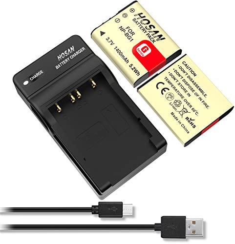 HOSAN NP-BG1 Batterie de Rechange Compatible pour Sony NP-BG1, DSC-HX9V, DSC-H70, DSC-H50, DSC-H55, DSC-H90, DSC-W290, DSC-H20, DSC-W80, DSC-HX5V, DSC-W55