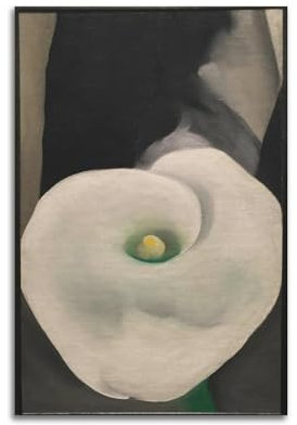 DryNda Georgia O'Keeffe Poster Calla Lily dekoratives Gemälde Leinwand Wandkunst Wohnzimmer Schlafzimmer Gemälde 30 x 45 cm