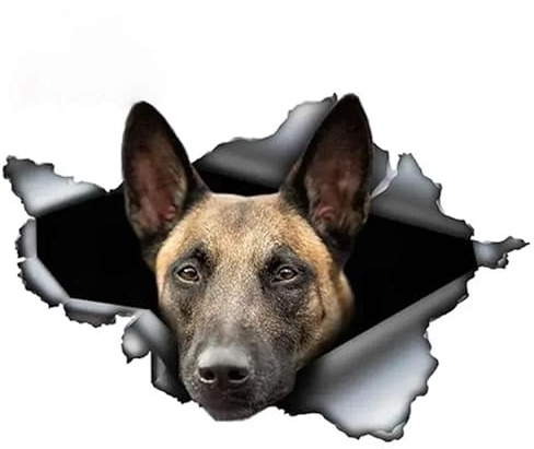 Autoaufkleber kreatives Tier Belgisch Malinois Autoaufkleber zerrissen Schäferhund Haustier Hund wasserdichte Sonnencreme