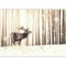murando - Papier peint panoramique animal 350x256 cm - Revêtement mural décoration pour chambre salon - Design moderne - Beige marron - Des arbres cerf forêt nature hiver animaux g-B-0143-a-c