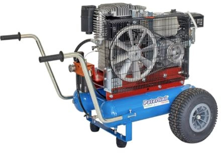 Motocompressore per Olive - Motocompressore Portatile Raccolta Olive - Motocompressore ad Aria Indipendente - Compressore Aria - Motocompressore per Abbacchiatore Olive (Serie FJ - 511 GX 160)