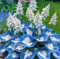RIVORDE 1000 Graines D'hosta, Croissance Rapide, Feuilles Uniques Et Belles, Taux De Survie élevé, Décoration Intérieure,C