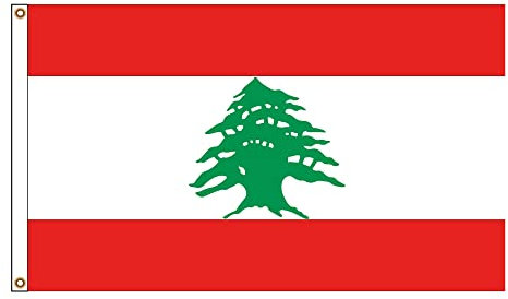 PinkDisplay Drapeau de l'Asie (Liban) 90 x 150 cm œillets et coutures doubles