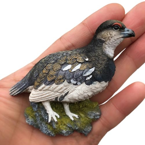 Creative Resin Bird Fridge Magnet, Realistic Bird Refrigerator Magnet Travel Souvenir Decorative Magnetic Fridge Sticker for Kitchen Office Whiteboard Birds Lover Gift (Rock Ptarmigan)