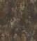Tapete Rost Patina Glanz Rasch Pure Vintage schwarz gold 418224