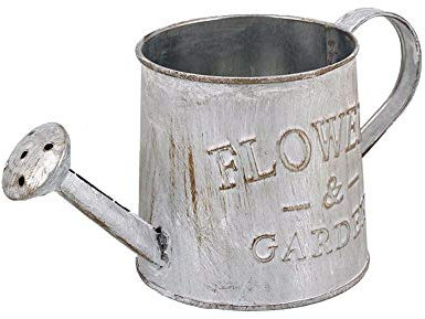 Uteruik Vintage Pot De Fleur en Métal, Petit Métier Arrosoir, Usine en Métal Seau Bonsaï Pot Vertical Pots De Jardin Maison Balcon Ornement Décoratif Artisanat, 1pcs