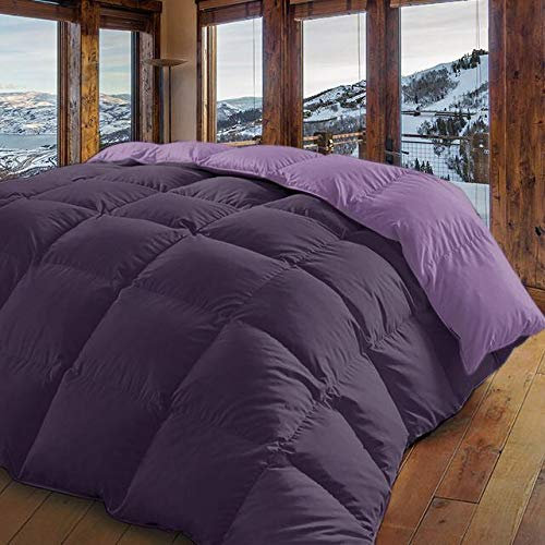 Energy Colors - Textil hogar - Estonia - Edredón Nórdico Colcha Bicolor Duvet Reversible 350/400 g Fibra Hueca Alta Densidad (Morado - Malva, 240_x_260_cm (Cama 150 y 135))