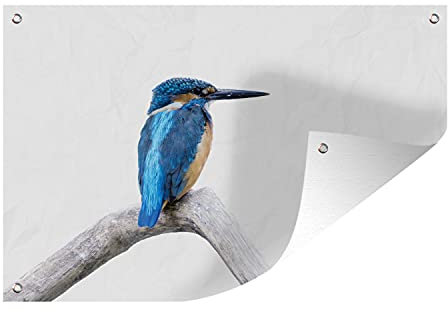 MuchoWow Outdoor-Poster Poster Wanddeko draußen Deko Garten Gartenposter 60x40 cm Eisvogel - Zweig - Schnabel