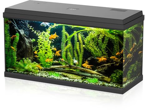 Aqpet Acquario in Vetro per Pesci tropicali Completo di Accessori Filtro Luce Simply, 100 80x32x47 cm 100 Litri
