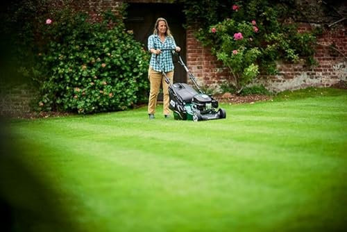 Atco Liner 16S Rear Roller Self-Propelled Petrol Lawnmower 41cm