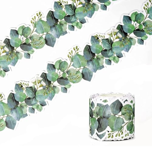 10m Display Borders for Classrooms, Eucalyptus Bulletin Board Border Roll | Green Classroom Decoration, Wallpaper Border Trim, Nature-Inspired School Display Border for Teachers, Walls, Notice Boards