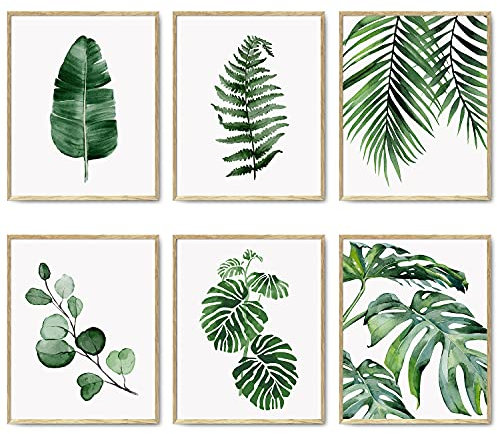 Mur Botanique Vert Impression Artistique Lot de 6 Impression Sur Toile Estampes Botaniques Décor à la Maison Naturel Affiches d'art de Salle de Bain 8x10 (20.3x25.4cm) SANS CADRE