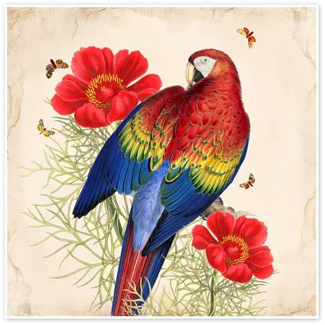 Exotische Papageien III Poster von Mandy Reinmuth 30 x 30 cm Bunt Collage Wanddeko