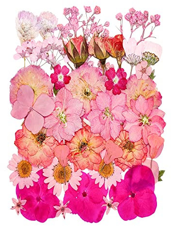 YoothBro 18 Arten von 37 Stück Lila Getrockneten Gepressten Blumen für Harzformen. Echte, Natürliche Gepresste Blumen für DIY-Kunsthandwerk, Kerzenherstellung, Nageldekoration,Handyhüllen und mehr
