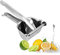 Natudeco Spremi Limone Acciaio Inossidabile 304 Spremiagrumi Manuale Spremi Agrumi Manuale per Impieghi Gravosi per Bar Cucina Ristorante