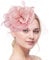 db11 Women's Fascinator Hat & Feather Hair Clip for Tea Party and Weddings, Flower Feather Headband & Veil (UK, Numeric, 1, Pink)