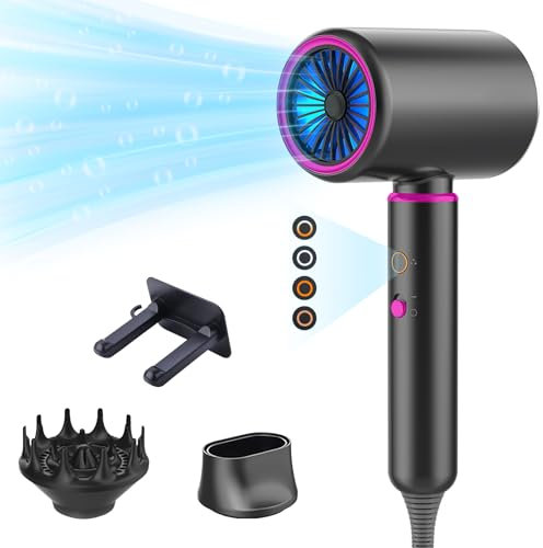 Bizcasa Haartrockner 2200W AC Motor, Negativ-Ionen-Technologie Föhn, Professioneller Schnelltrocknen Fön, Anti Frizz, 4 Temp und Gang, Haarfö mit Diffusor und Konzentratoren (Grau 1)