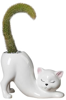 Yizzwtc Keramik Blumentopf Katze, Keramik Sukkulenten Töpfe, Kleine Kaktus Töpfe Niedliche Kreative Blumentöpfe für Zimmerpflanzen, Sukkulenten, Blumen, Kaktus, Heimdekoration (Weiß)