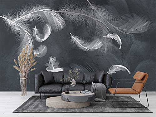 SILK ROAD EU Papier Peint Panoramique 3D Soie, 300 × 210cm, Plumes Dlottantes, Largeur max 9m, pour Salon Chambre Restaurant Enfant Décoration Murale