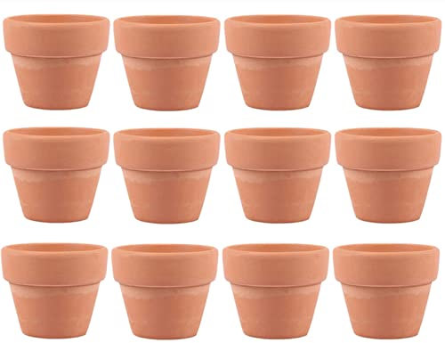 EVERMARKET Small Mini Clay Pots, 12 Pcs 1.2 Terracotta Pot Clay Ceramic Pottery Planter, Cactus Flower Nursery Terra Cotta Pots, with Drainage Hole, for Indoor/Outdoor Succulent Plants