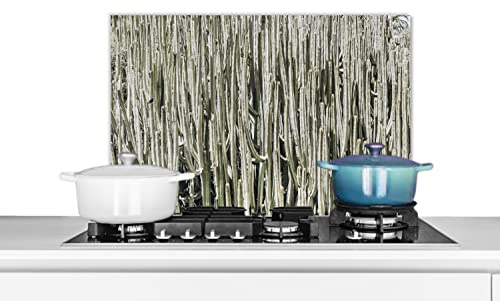 MuchoWow Spritzschutz Küche Küchenrückwand Alu Poster Bilder 70x50 cm Kaktus - Natur - Sukkulenten