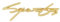 INTEAU Auto Heck Abzeichen Emblem für BMW, Metall Heckklappe Logo Kofferraum Emblem Auto Karosserie Heckklappe Abzeichen Kofferraum Emblem Abzeichen Aufkleber Zubehör,C