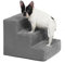 Dog Steps, Pet Stairs 3-Step Anti-Slip Rubber Bottom Memory Foam Dog Stairs with Removable Washable Cover for Smaller & Elder Pets, Sturdy Steps for Dogs