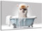 DARO Design - Toiletten-Bild auf 6mm HDF 84x56 cm Baby Alpaca Lama in der Badewanne - Wand-Deko Bilder Lustiges Geschenk