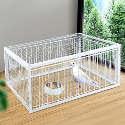 MBBTAG Jaula Trampa Para Pajaros, Trampa Para Palomas, 4 Trampas Para Pájaros Con Entrada Unidireccional, Jaula Trampa Para Pollos Y Pájaros, Trampa Para Pájaros, Trampa Para Gorriones(Blanco,40x30x26