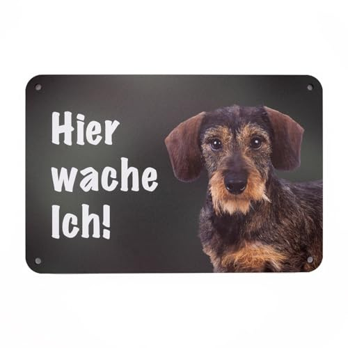 Rauhaardackel HIER WACHE ICH! Hundeschild – wetterfestes Dackel Zaunschild und Warnschild mit Hundemotiv für Gartenzaun, Gartentor und Grundstück – Aluminium-Verbund, 24 × 16 cm