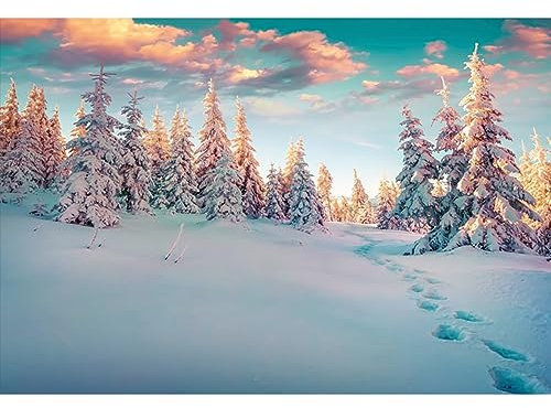 YongFoto 3x2m Vinyl Foto Hintergrund Winterlandschaft mit Spuren Schnee bedeckte Tannen Weihnachten Fotografie Hintergrund f黵 Fotoshooting Fotostudio Requisiten