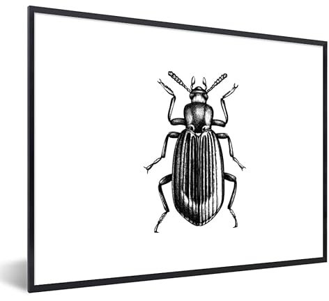 MuchoWow Poster Bilder Wanddeko Deko Wohnzimmer 80x60 cm Käfer - Tiere - Vintage
