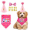 4 Stück Set Haustier Geburtstag Party Supplies, Hund Dreieck Schal, Geburtstag Hut, Hund Fliege Gold Pink Digital Patch Haustier Party Feier Dekorationen kleine, mittelgroße, große Haustiere (Rosa)