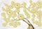 wandmotiv24 Fototapete Blütenbaum gelb gold, 400 x 280 cm - selbstklebende Strukturtapete, Wanddeko, Wandbild, Wandtapete, Blüten Baum Blätter M6614