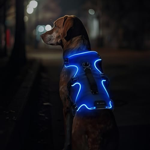 Jewyow Hundegeschirr Leuchtend, Wiederaufladbare LED Hundegeschirr, Led Geschirr für Hunde mit Weicher Griff, 3 Einstellbare Modus, Wasserdicht für Mittelgroße, Große Hund, Blau-L
