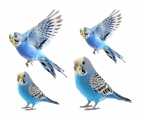 AdriLeo - Aufkleber 4er-Set – blauer Wellensittich - Deko Autoaufkleber Sticker Vogel Papagei