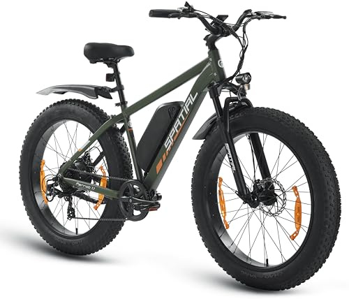 SPATIAL Bicicleta Eléctrica Montaña de 26 con Neumáticos Anchos de 4.0 y Batería de 48 V 13Ah y 624 WH (Grün)