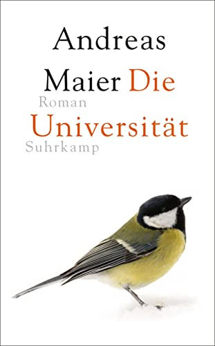 Die Universität: Roman (Ortsumgehung 6)