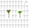 WANGCL 50 Pack Grow Baskets Replacement for Hydroponic Growing System Seed Pods Baskets for Indoor Herb Garden