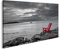 Prime Bild auf Leinwand Roter Stuhl Schwarz und Weiß Natur Hintergrund Wandbilder Wohnzimmer Wohnung Leinwandbilder GAWA-1P